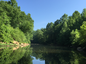 Lewis County